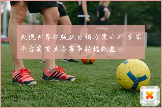 央视世界杯版权分销方案公布 多家平台有望共享赛事转播权益