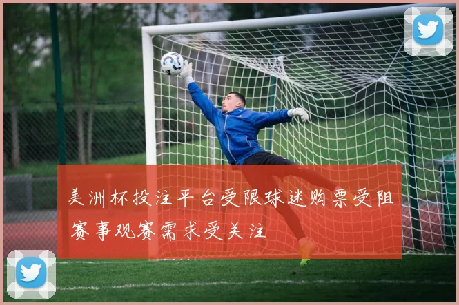 美洲杯投注平台受限球迷购票受阻 赛事观赛需求受关注