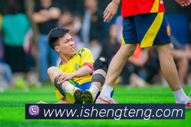 mksports官网平台生态图